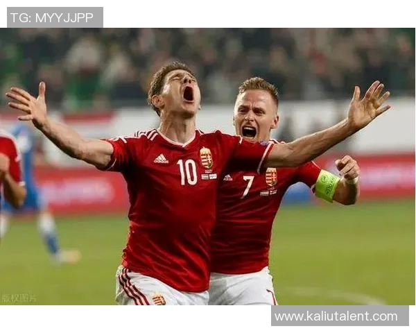 威尔士与保加利亚激战在即球迷期待精彩对决与历史交锋